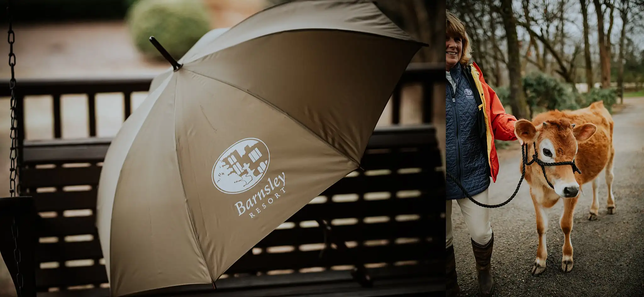 Barnesly Gardens Wedding Top Atlanta Photographers Wedding Details: a resort umbrella, and a Jersey calf led up the drive, in a set, at a wedding at Barnsley Gardens in Adairsville, GA