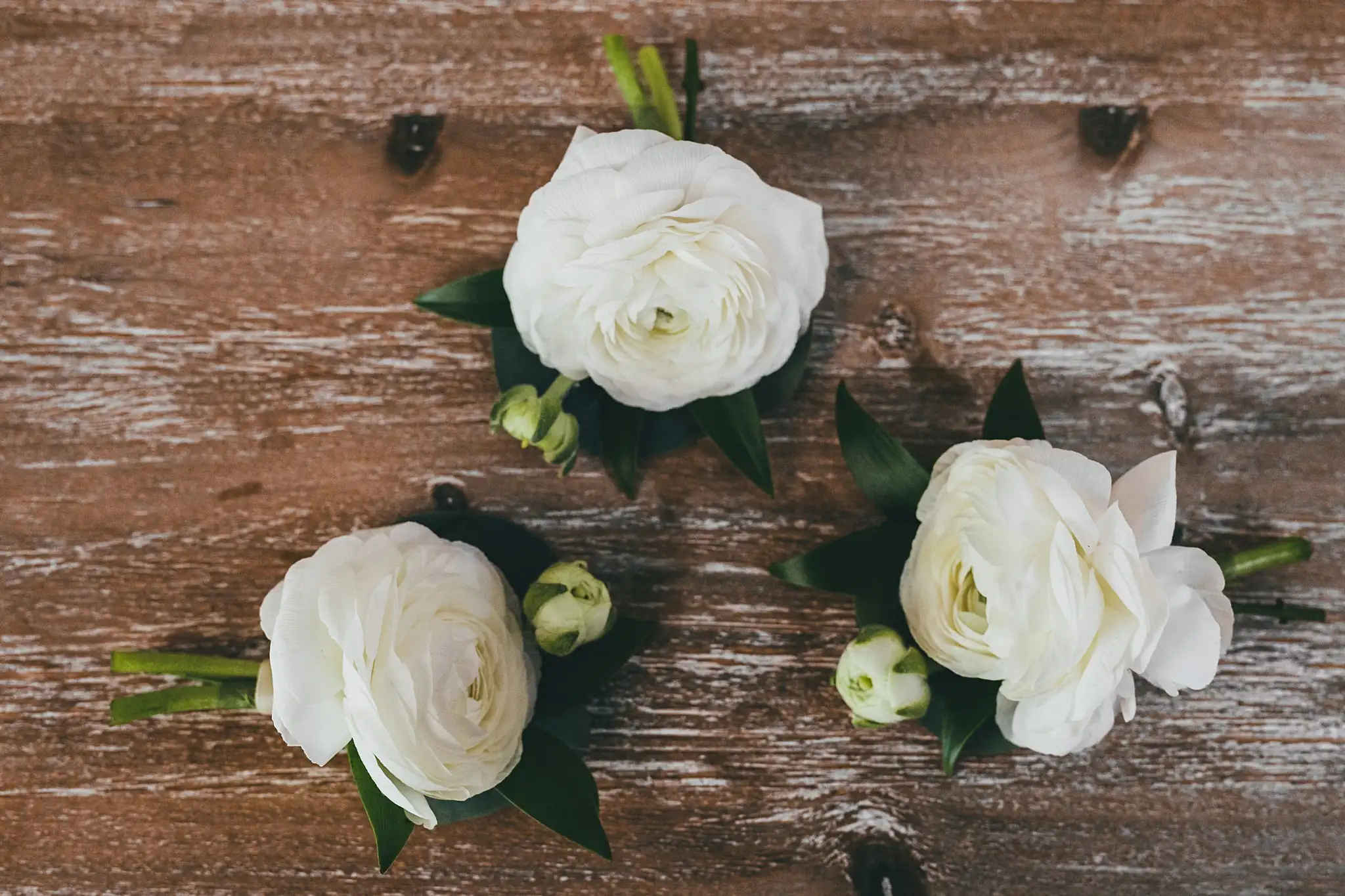 Wedding Details: white ranunculus boutonnieres on weathered wood, at a wedding at Little River Farms in Milton, GA