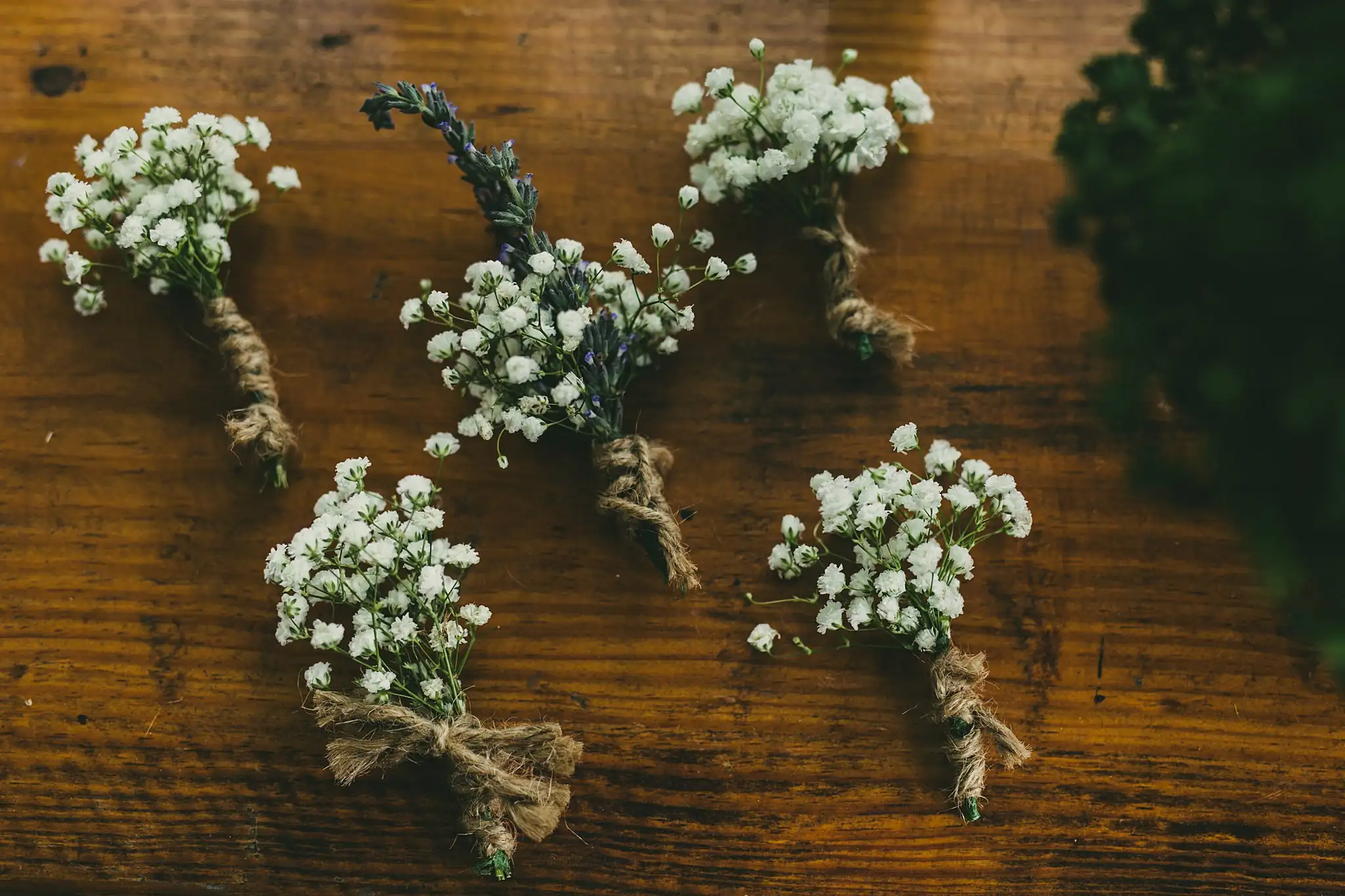 AtlantaWeddingPhotographers_1097.jpg Sweet Meadow Farm Wedding Atlanta Wedding Photographers