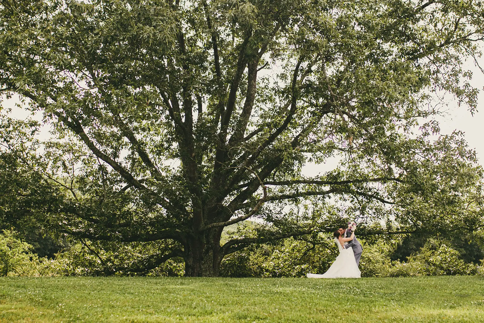 AtlantaWeddingPhotographers_1137.jpg Sweet Meadow Farm Wedding Atlanta Wedding Photographers