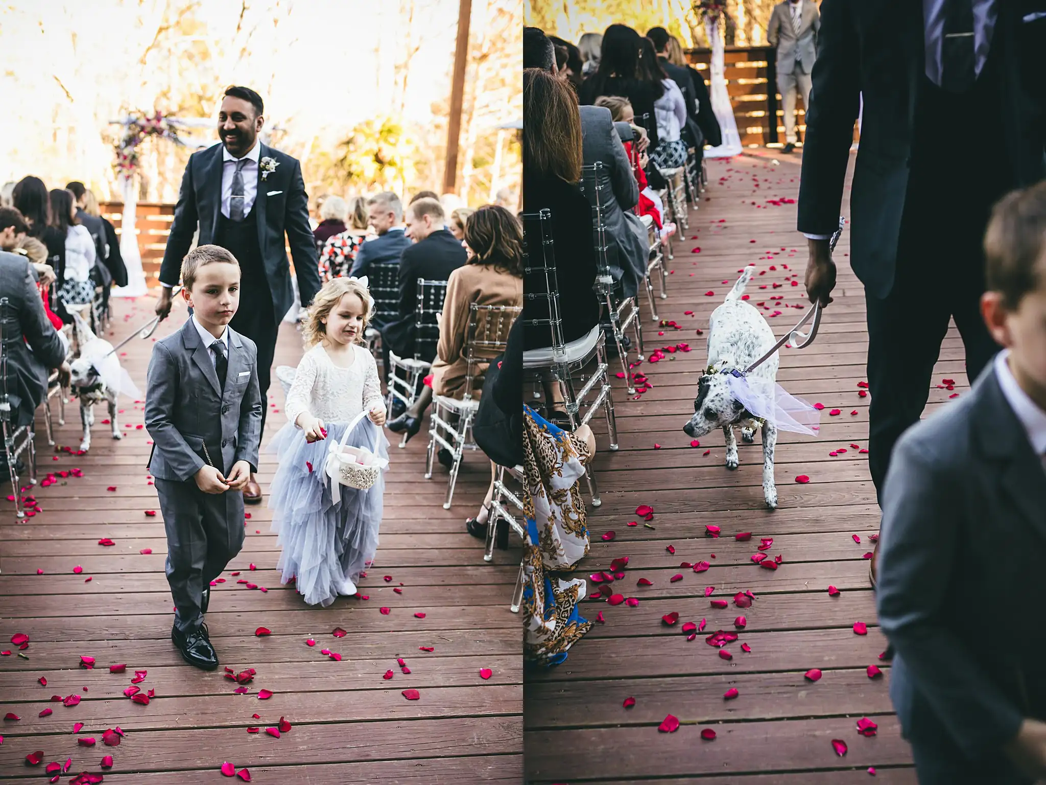 AtlantaWeddingPhotographers_1443.jpg Recessional: the ring bearer and flower girl, and the dog, at their wedding at Three Birches in Alpharetta, GA