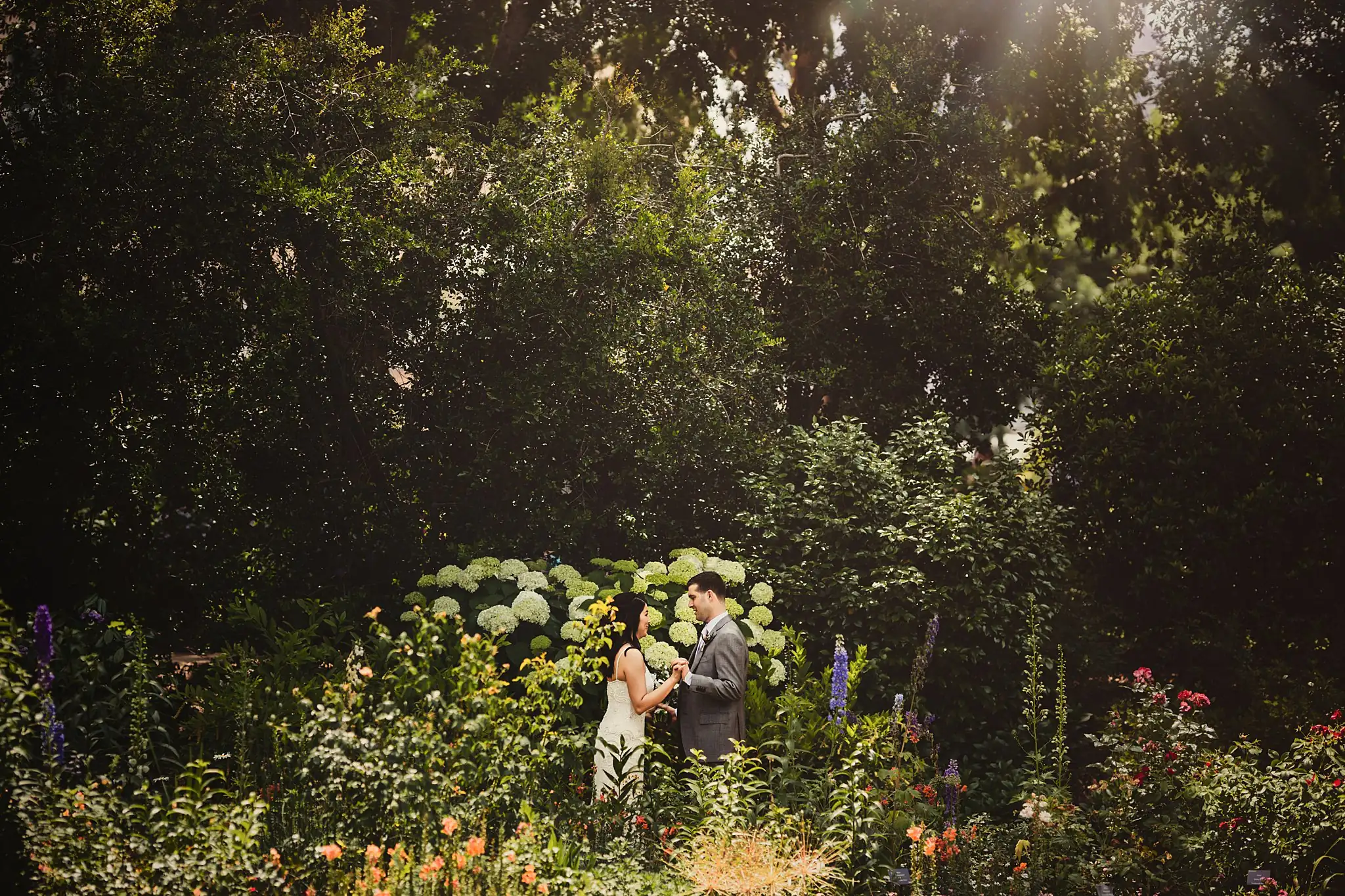 Wedding Formals: the couple small in the wide garden, at their wedding at the Atlanta Botanical Garden in Atlanta, GA