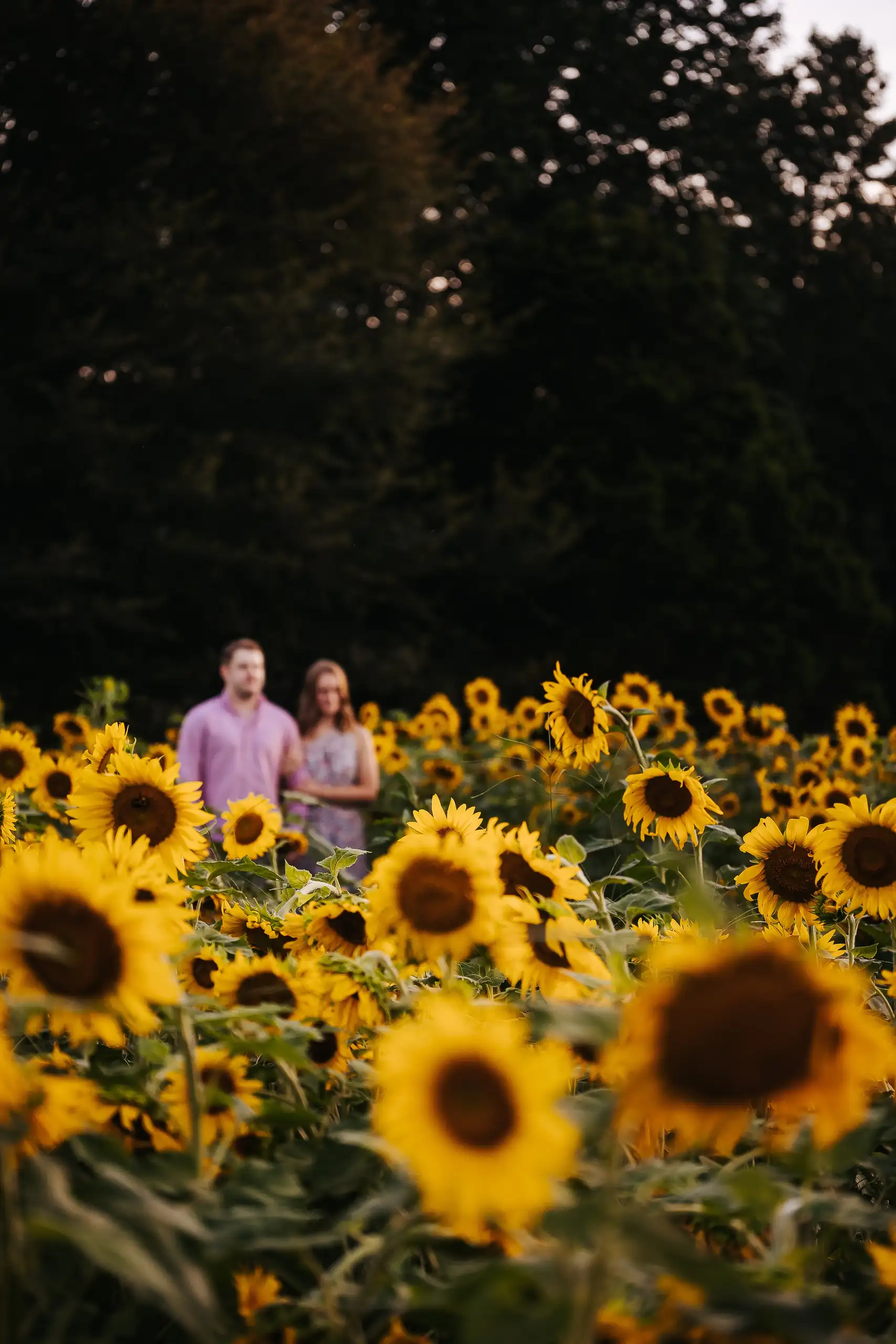 Engagement Portraits: the two of them in the dark edge of the field, during their engagement session at Prospect Farms in Lawrenceville, GA