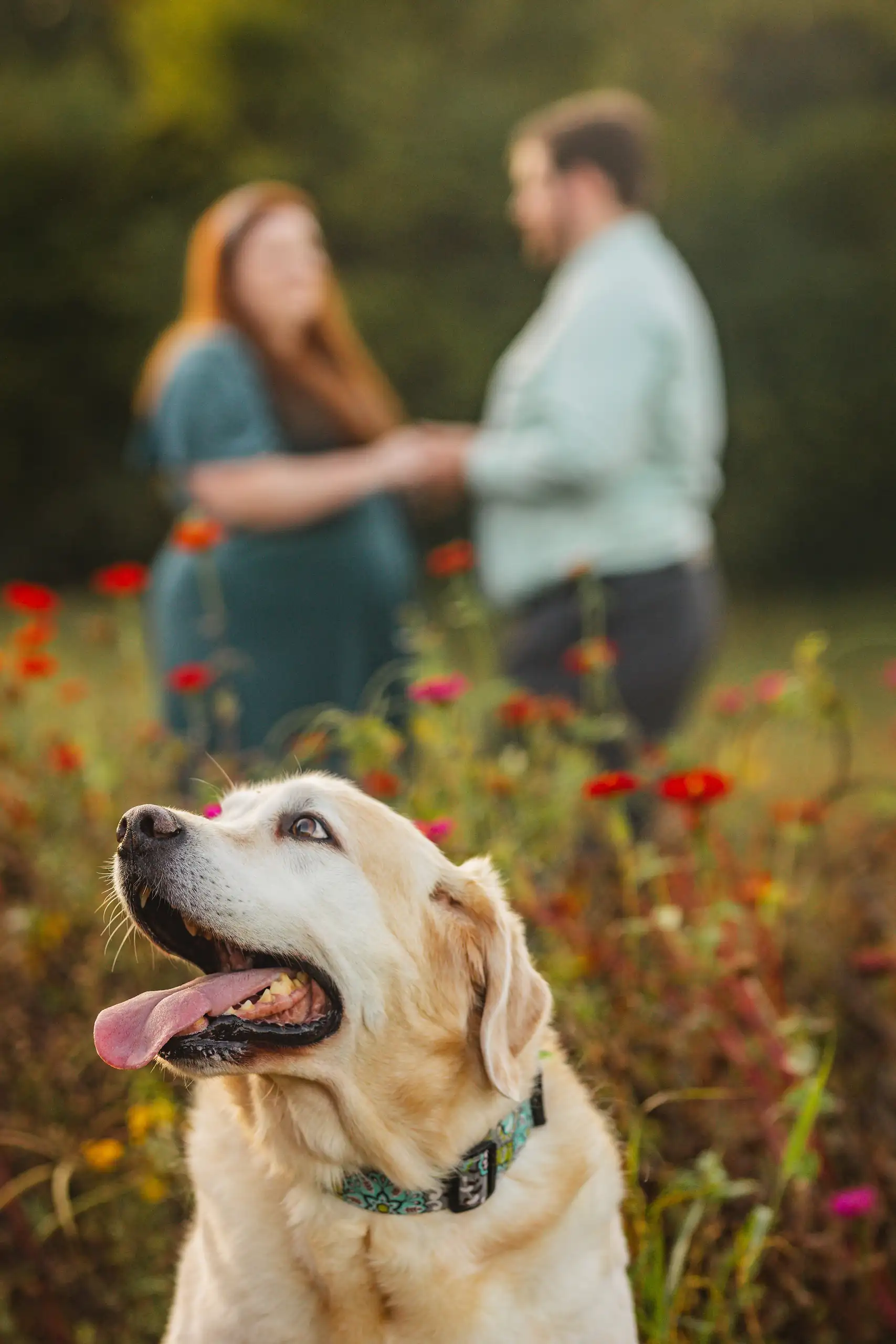Engagement Session Taylor Corey Big Hart Farm Love and Story