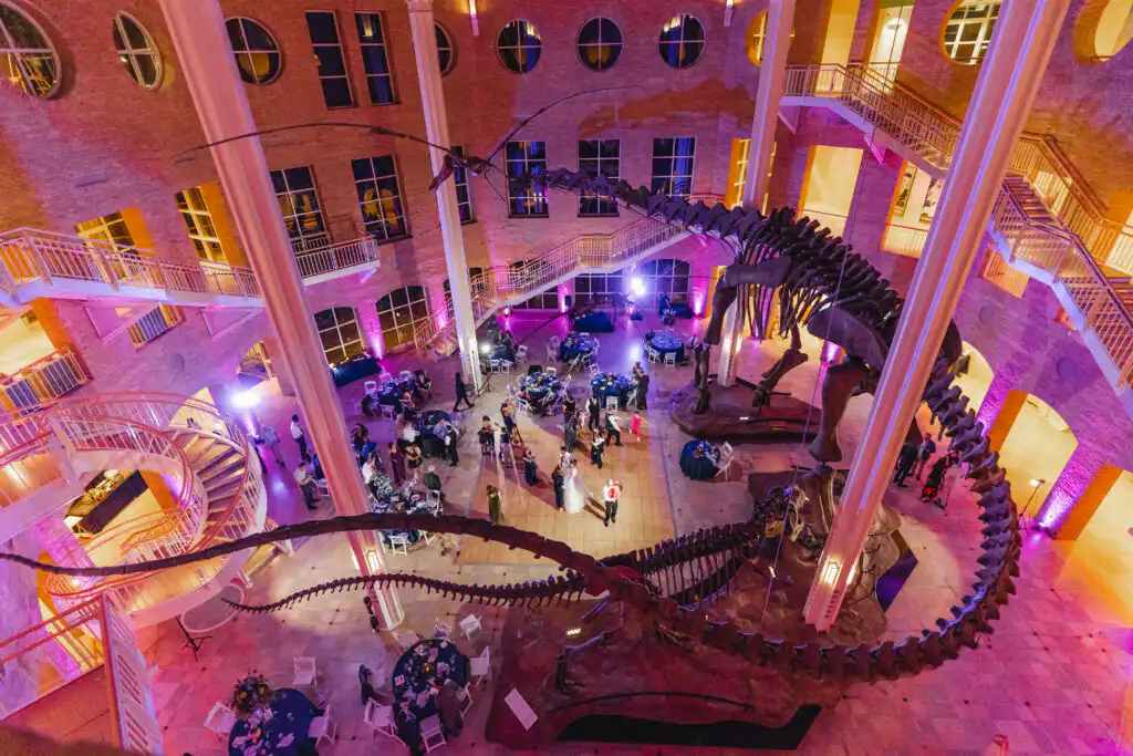atlanta, wedding photography, classic, black and white, epic, luxury, engagement, engaged, proposal, fernbank, decatur, museum, dinosaurs
