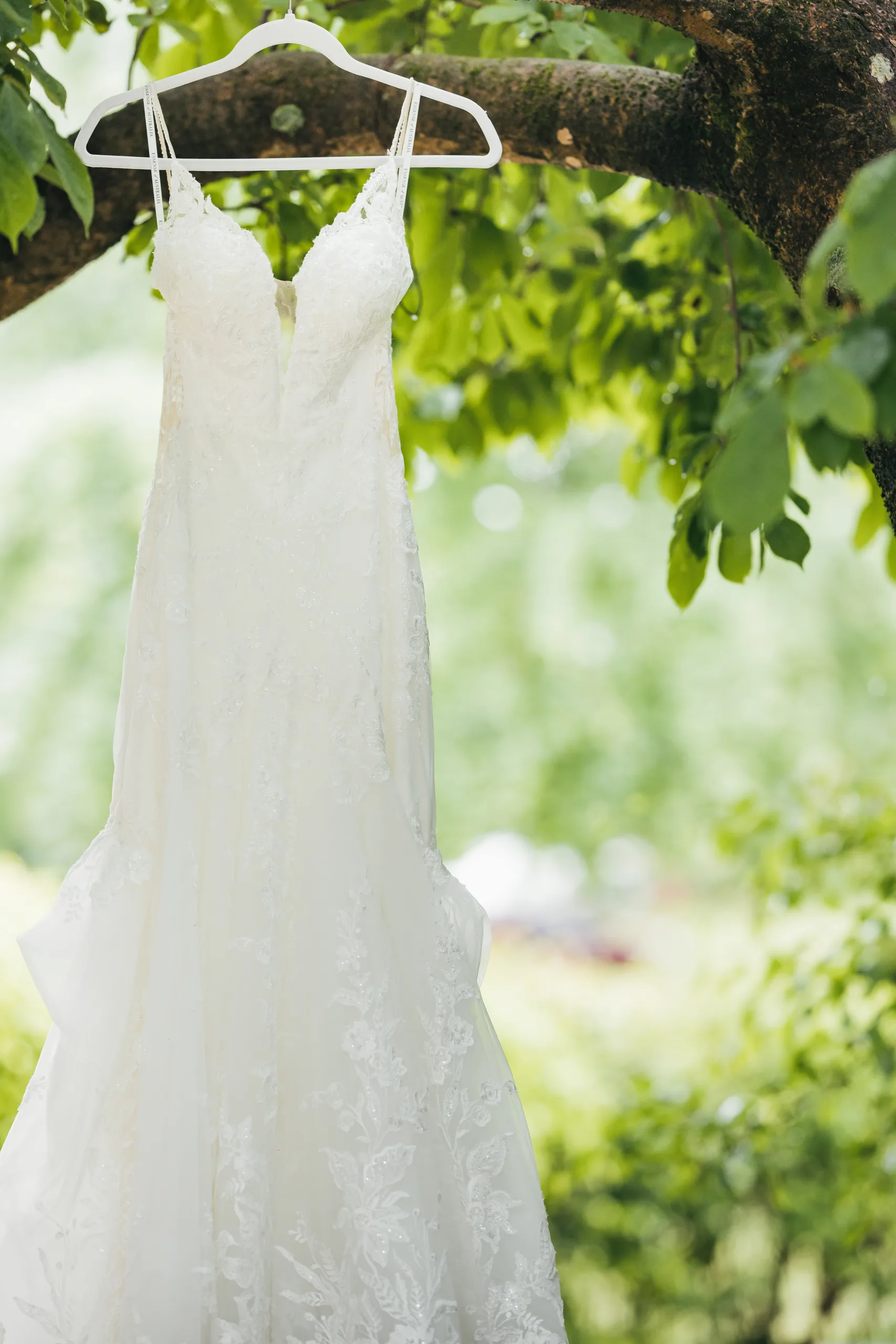 Wedding Details: her gown hanging in the tree branches at a wedding at the Payne-Corley House in Duluth, GA
