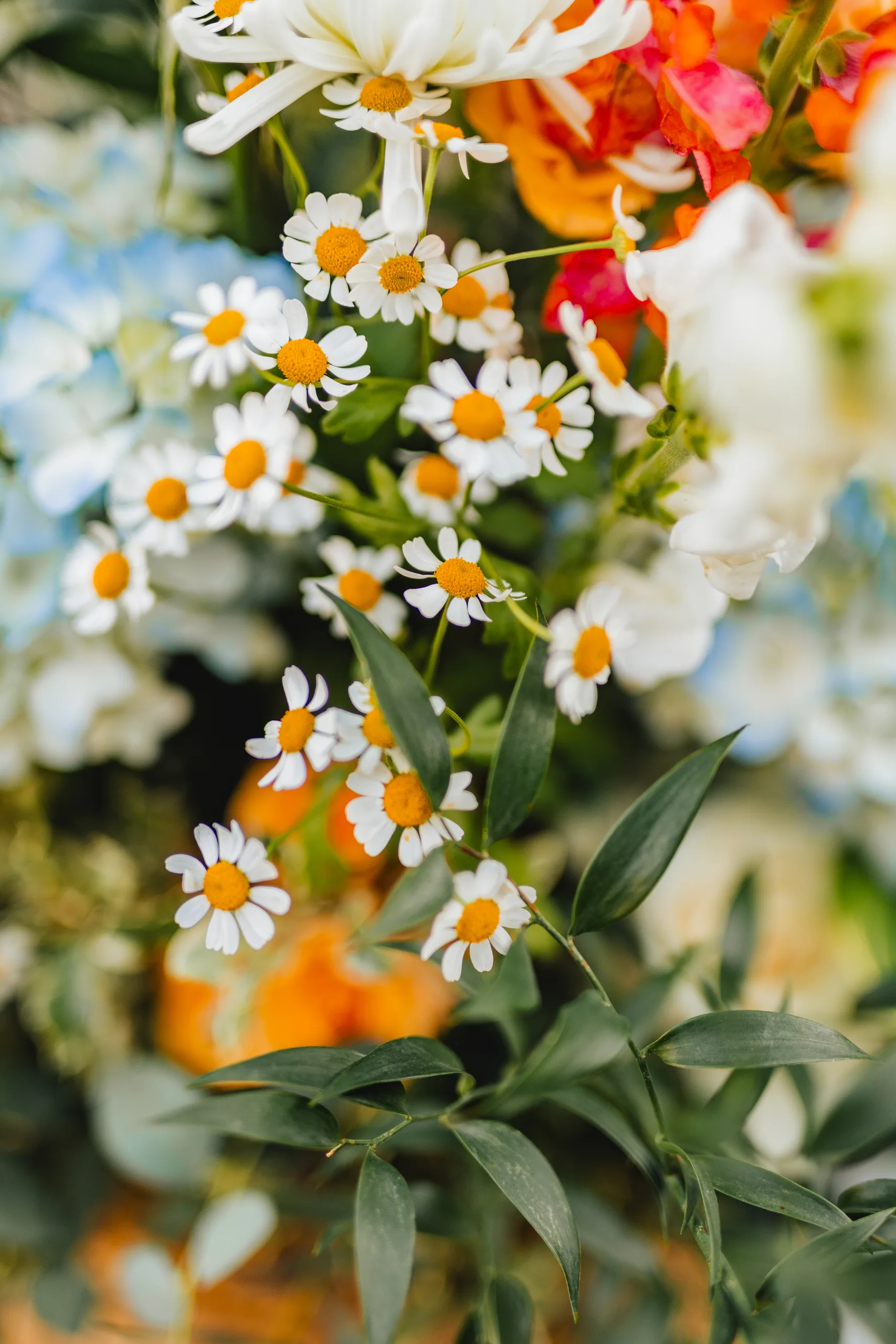 Wedding Florals: daisies in the ceremony flowers at a wedding at Ivy Hall at Roswell Mill in Roswell, GA