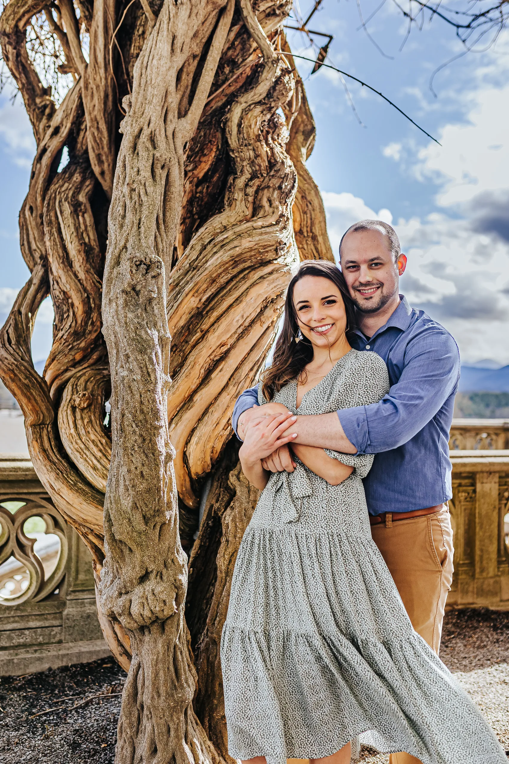 Terrace: his arms around her beside the twisted old wisteria, at their engagement session at Biltmore Estate in Asheville, NC