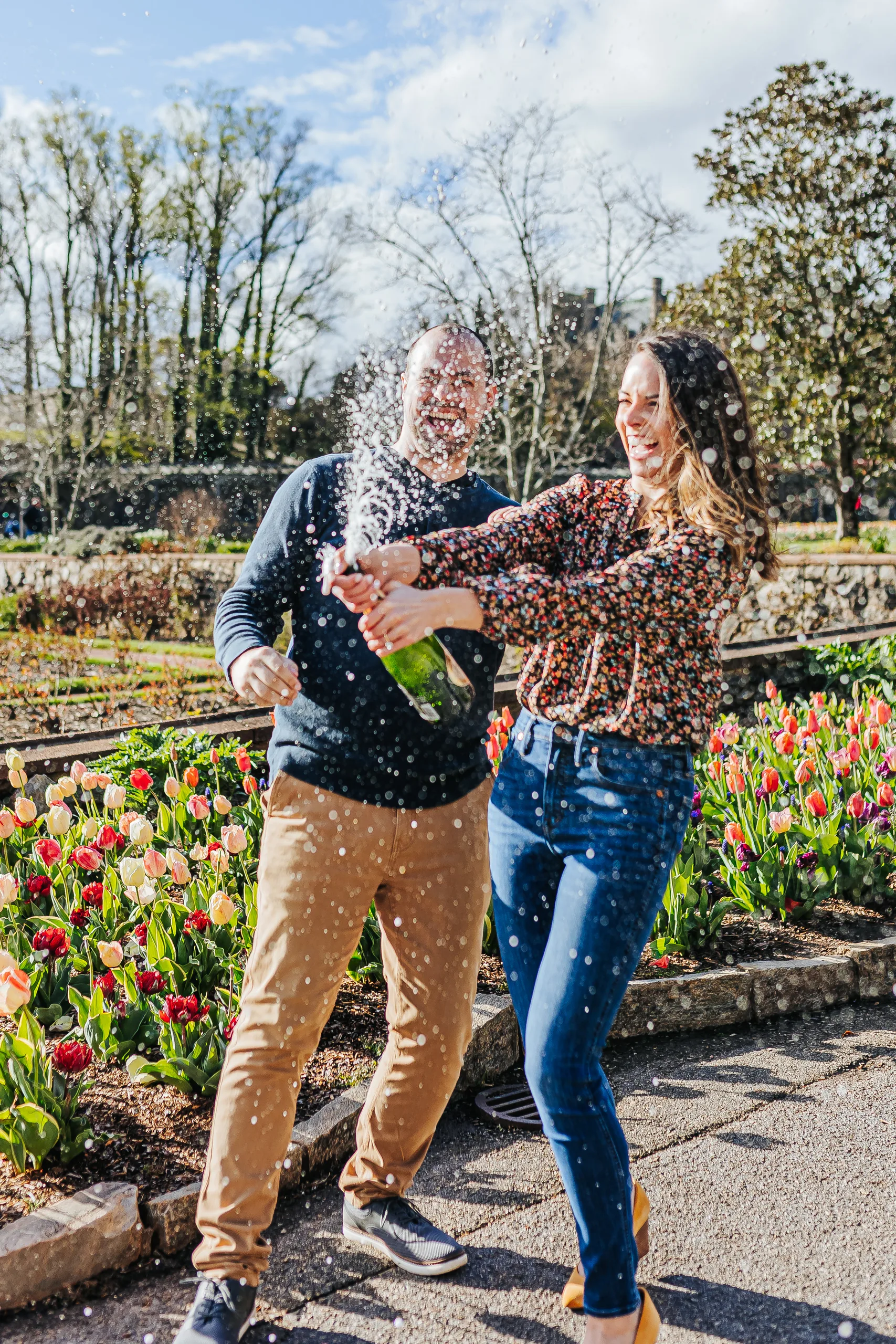 Walled Garden: popping champagne by the tulips, at their engagement session at Biltmore Estate in Asheville, NC